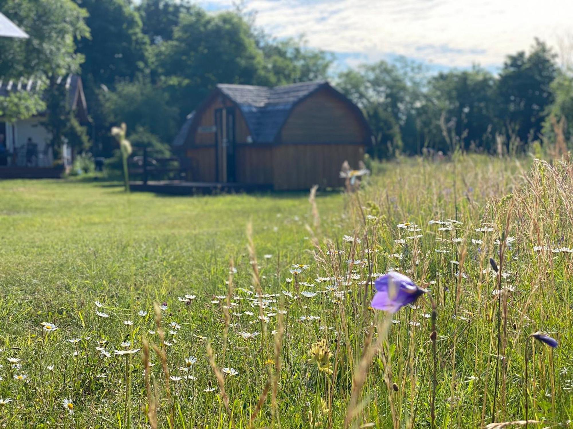 Kaespri Farmstay Koguva Exterior photo